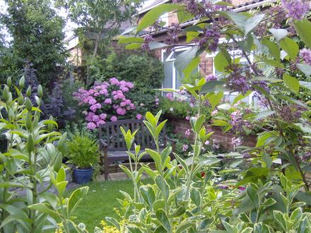 garden2007no.2_001.jpg