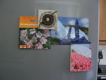  A gift from Jacque from the Eden Project