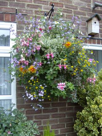 garden2007no.2_044.jpg