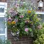 Garden2007no