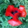 01062008106.jpg