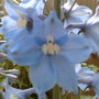 01062008107.jpg