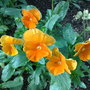 01062008111.jpg