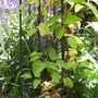 100_0744.jpg