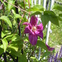 100_0746.jpg