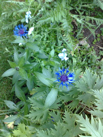 01062008119.jpg
