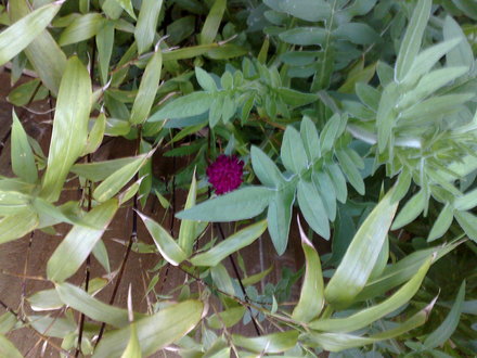 01062008123.jpg
