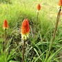 Copy_of_pict1482