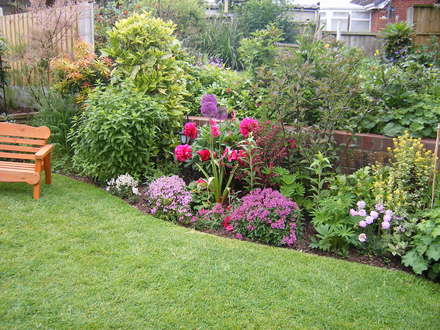 A garden flower photo