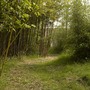 Warmer bamboo