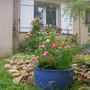 Front garden 2