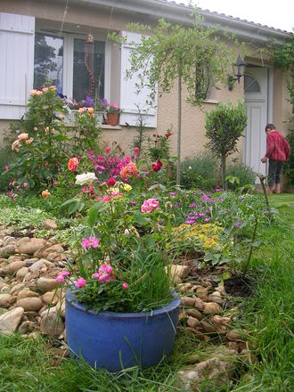 More front garden
