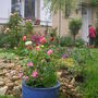 More front garden