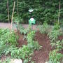 A boring vegetable patch but we hope to have lots of yummy veggies!