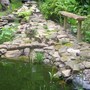 ducklings arrival