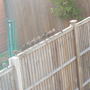 Birds - After Their Feast!