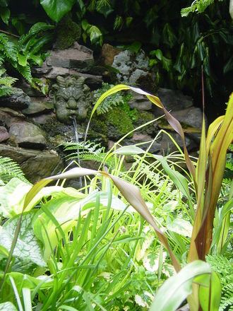 The Grotto and water spout at the rear of the pond.June 2008.