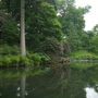 powis castle pond