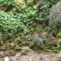 grotto at powis castle