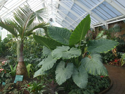 botanical garden of wales