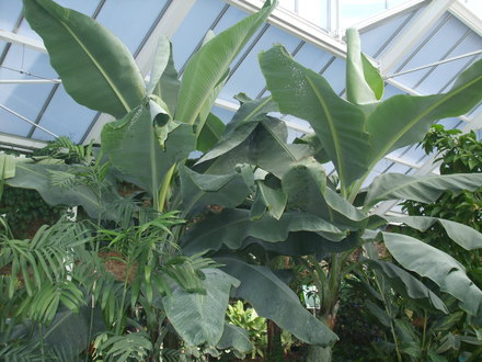 botanical garden of wales