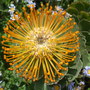 Dscf1198