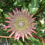 Dscf1199