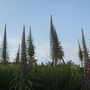 Dscf1215