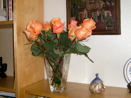 Orange roses tinged with pink - in celebration of my getting tenure!