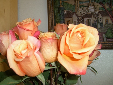 A close-up of the roses. 