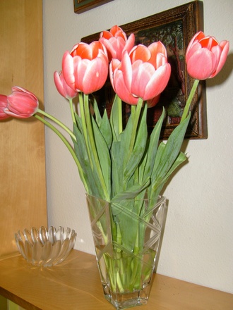 More of the tulips.