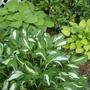 New_pics_7