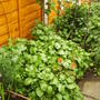 Picture_029