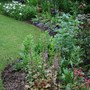 In My Garden - Replanted Herbaceous border