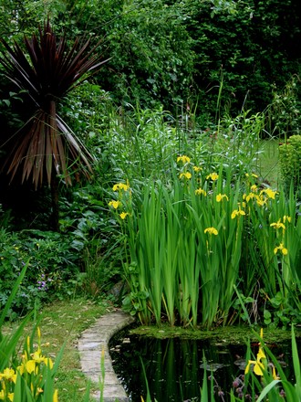 In My Garden - The pond in June 2008
