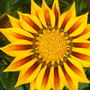 Cnv00085