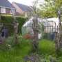 My greenhouse in 2003[blog photo]