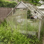 Weeds inside and out 05.08 [blog photo]