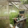 What a sad sight 05.08[blog photo]