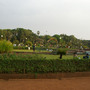 Hanging Gardens of Bombay