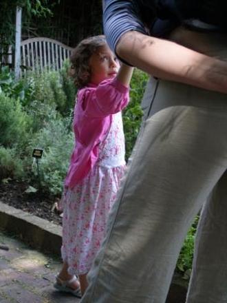 Little Dutch Girl in the Walled Herb Garden