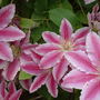 June_4th_2008_028