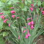 June_4th_2008_007