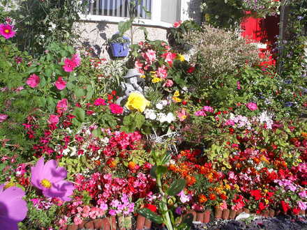 front garden