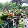 Marie_at_work_31_may