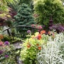 Lower bridge 30 May