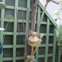 The garden tool sculpture.June 2008.
