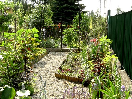 View of front garden from another aspect.