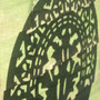 A garden flower photo