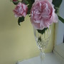 GOOD YEAR FOR THE ROSES